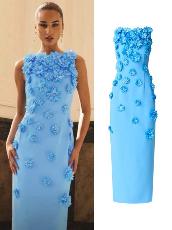 Elliatt Dresses & Skirts - Elliatt Dali Floral Applique Gown in Blue